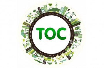 Территориальное общественное самоуправление (ТОС)